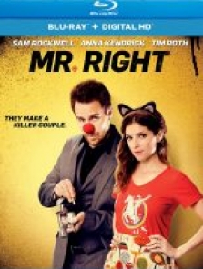 Bay Doğru – Mr Right 2015 full hd film izle